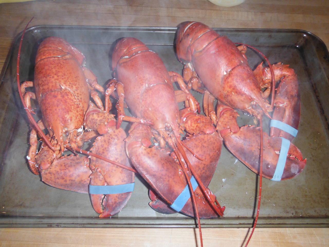 lobsterfest_011