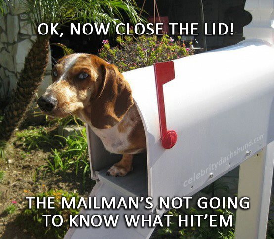 mailman