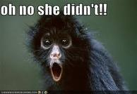 monkey