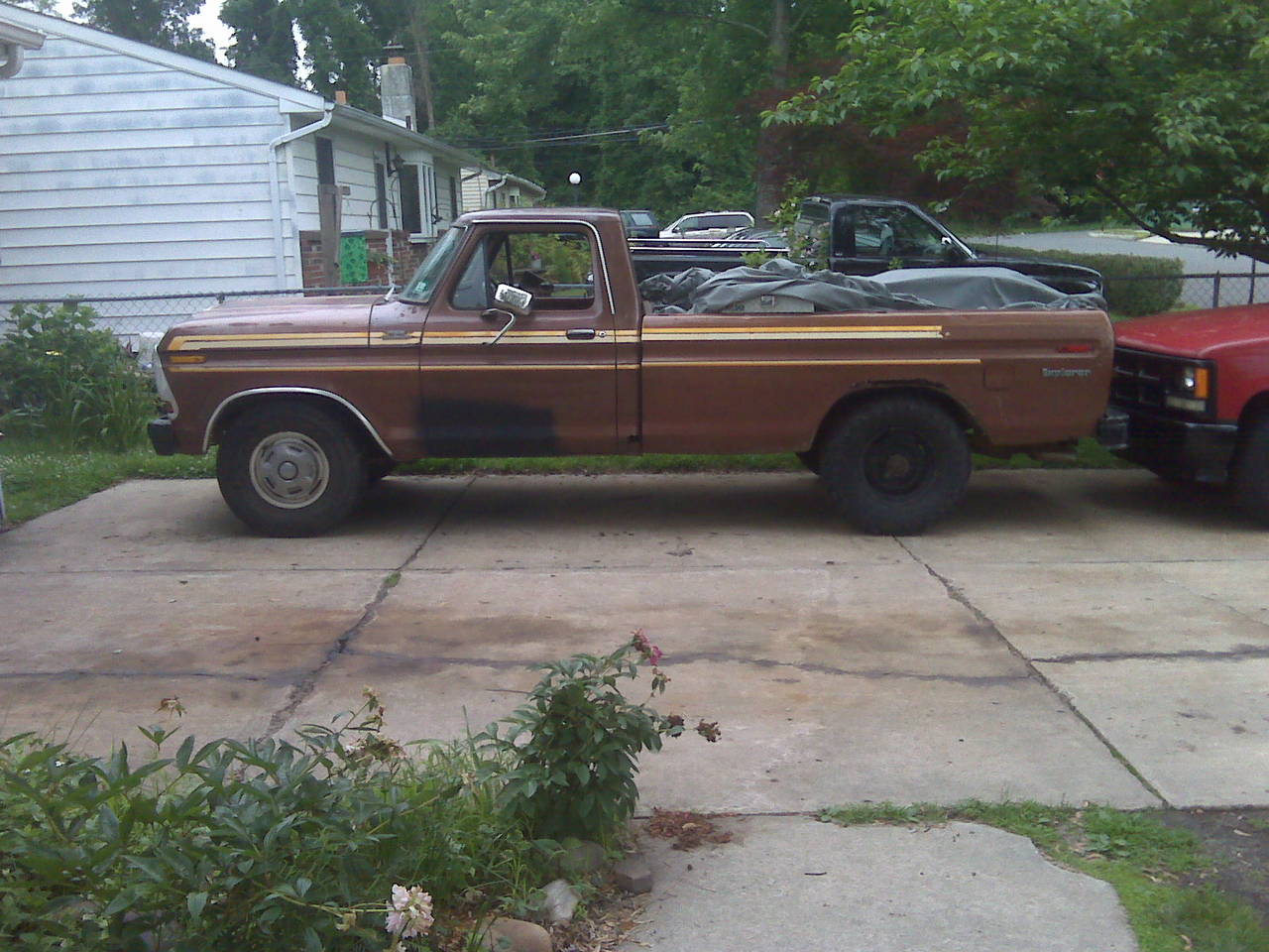 More pictures