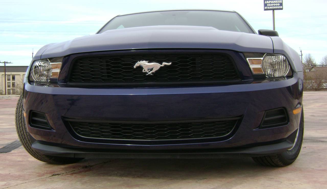 Mustang_5