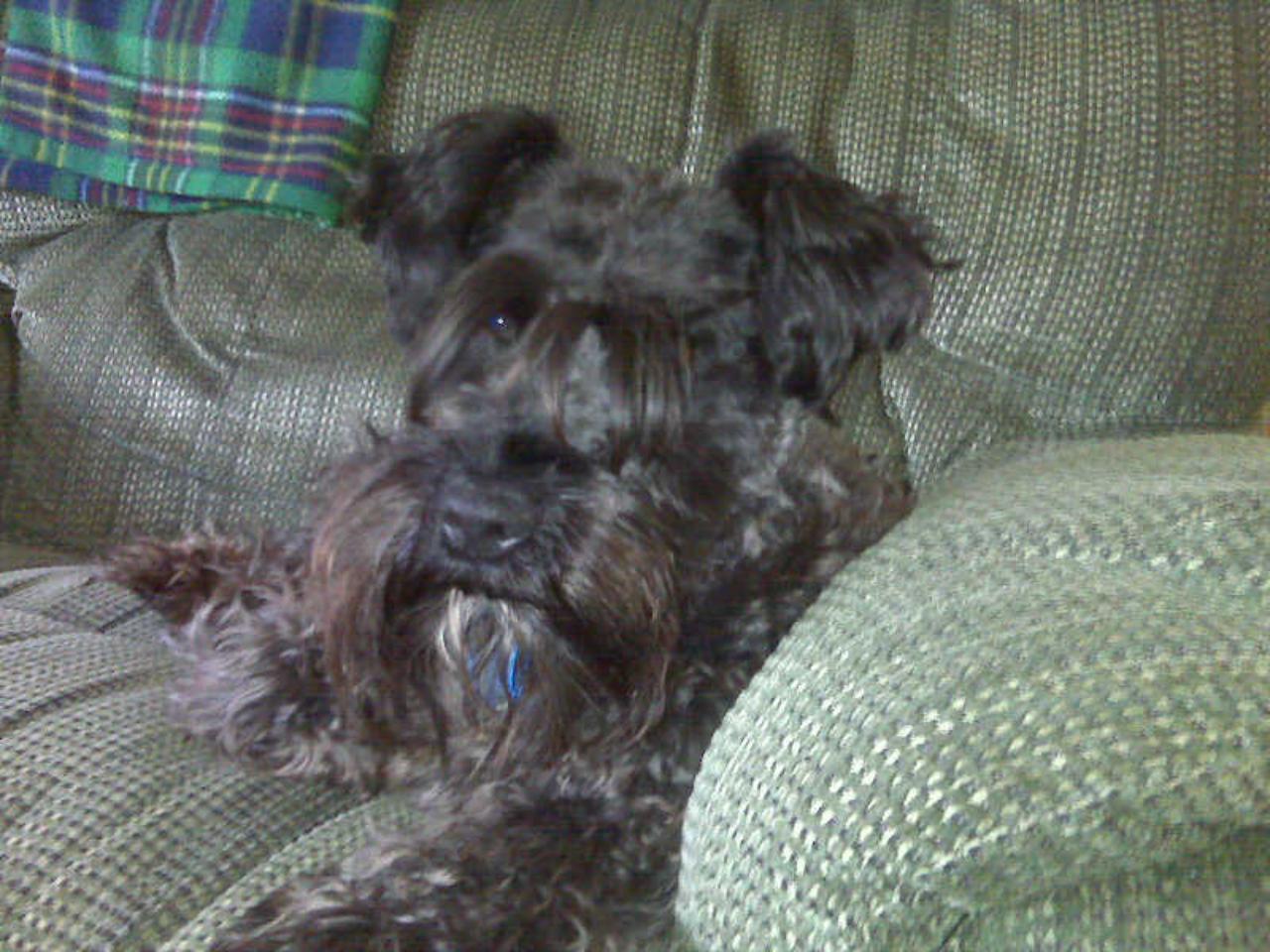 my baby