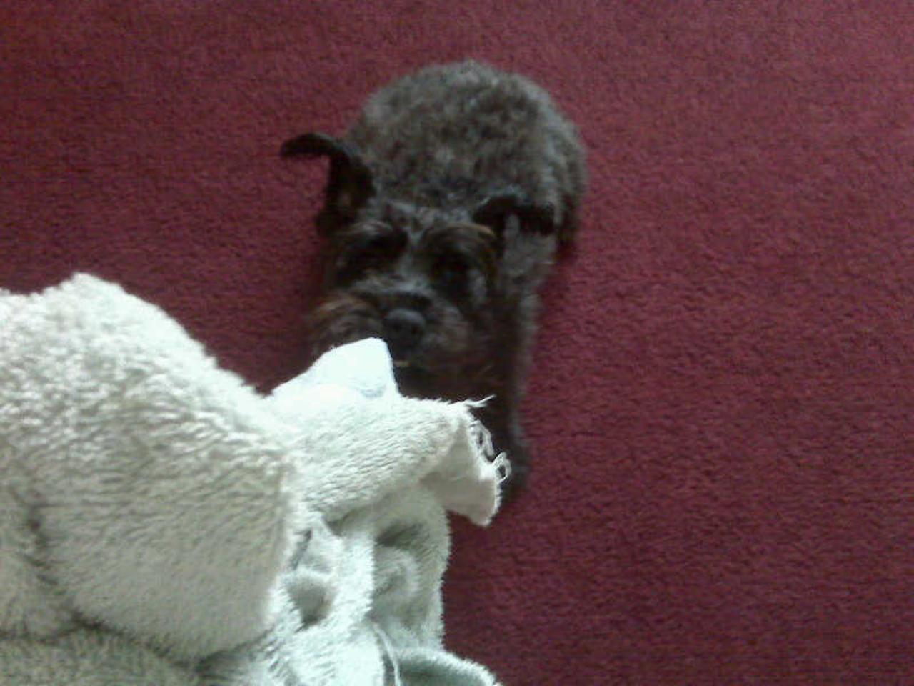 my baby