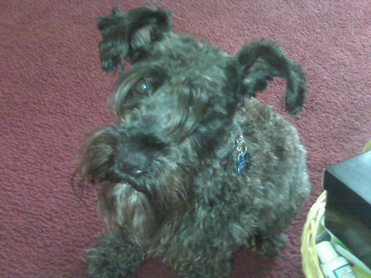 my baby