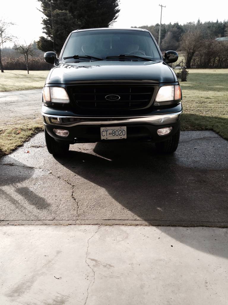 new factory fog lights