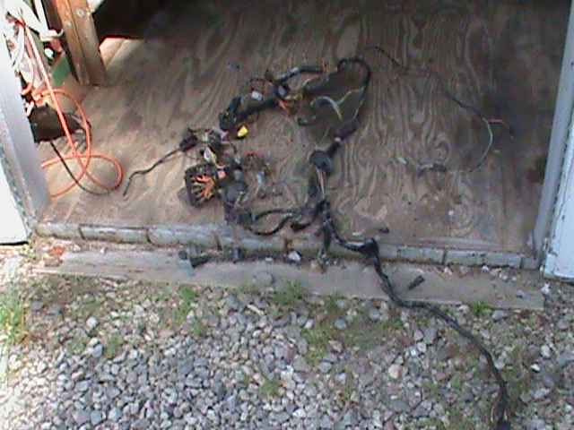 Old 79 Harness