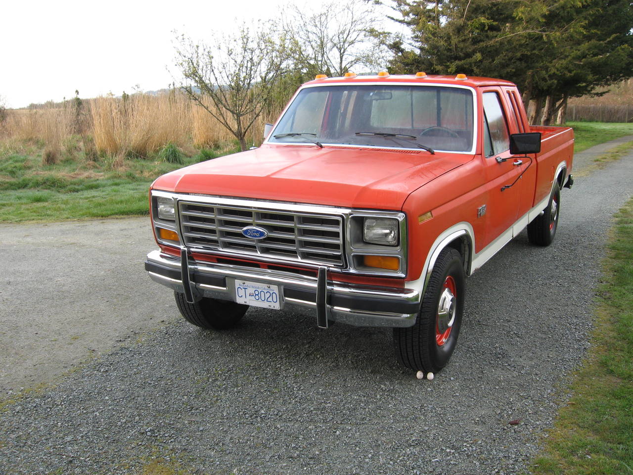 Old Orange 250