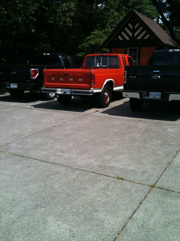 Old Orange 250