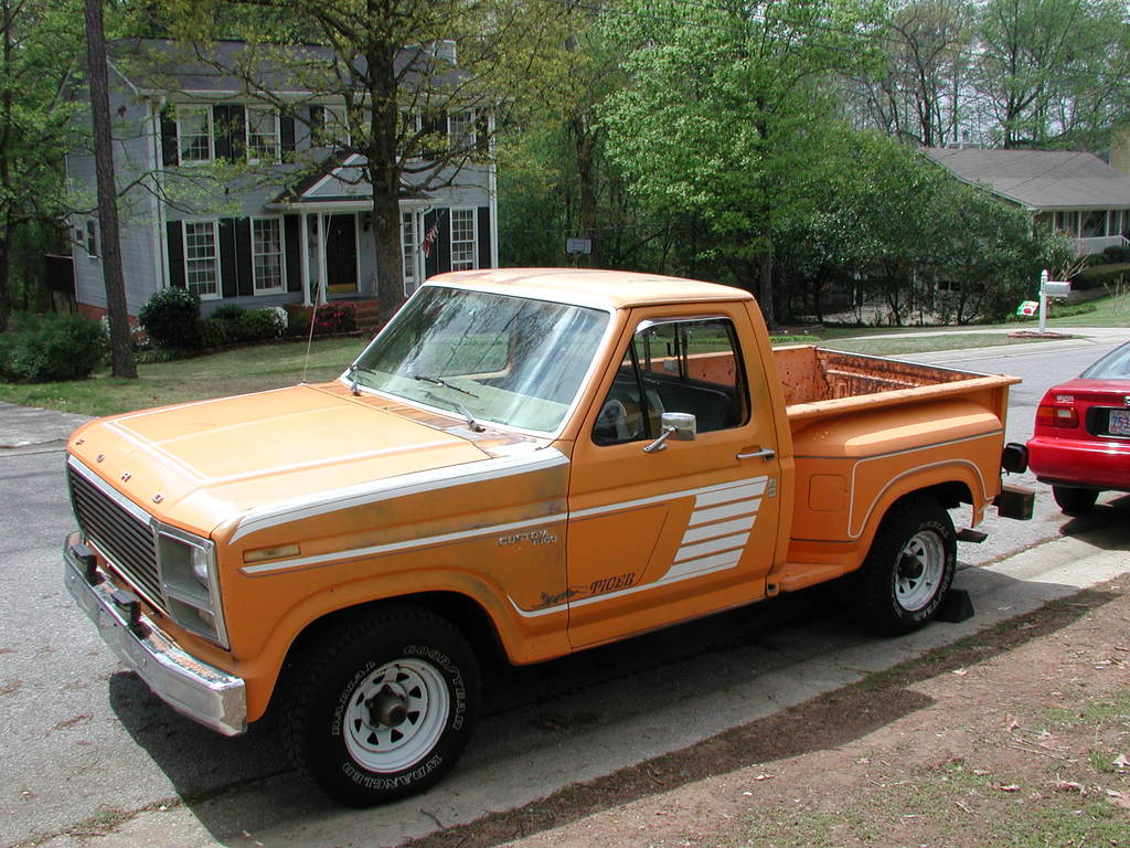 orange_tiger