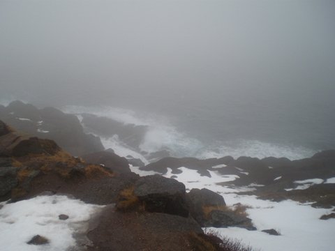 P3141535_zpszp7dxpue