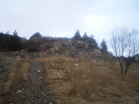 P3151552_zpsqbunewdl