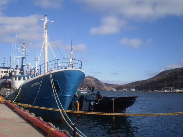 P3151557