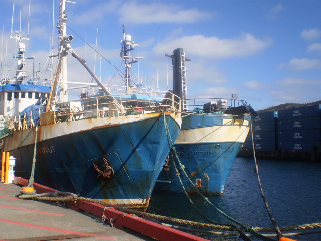 P3151560