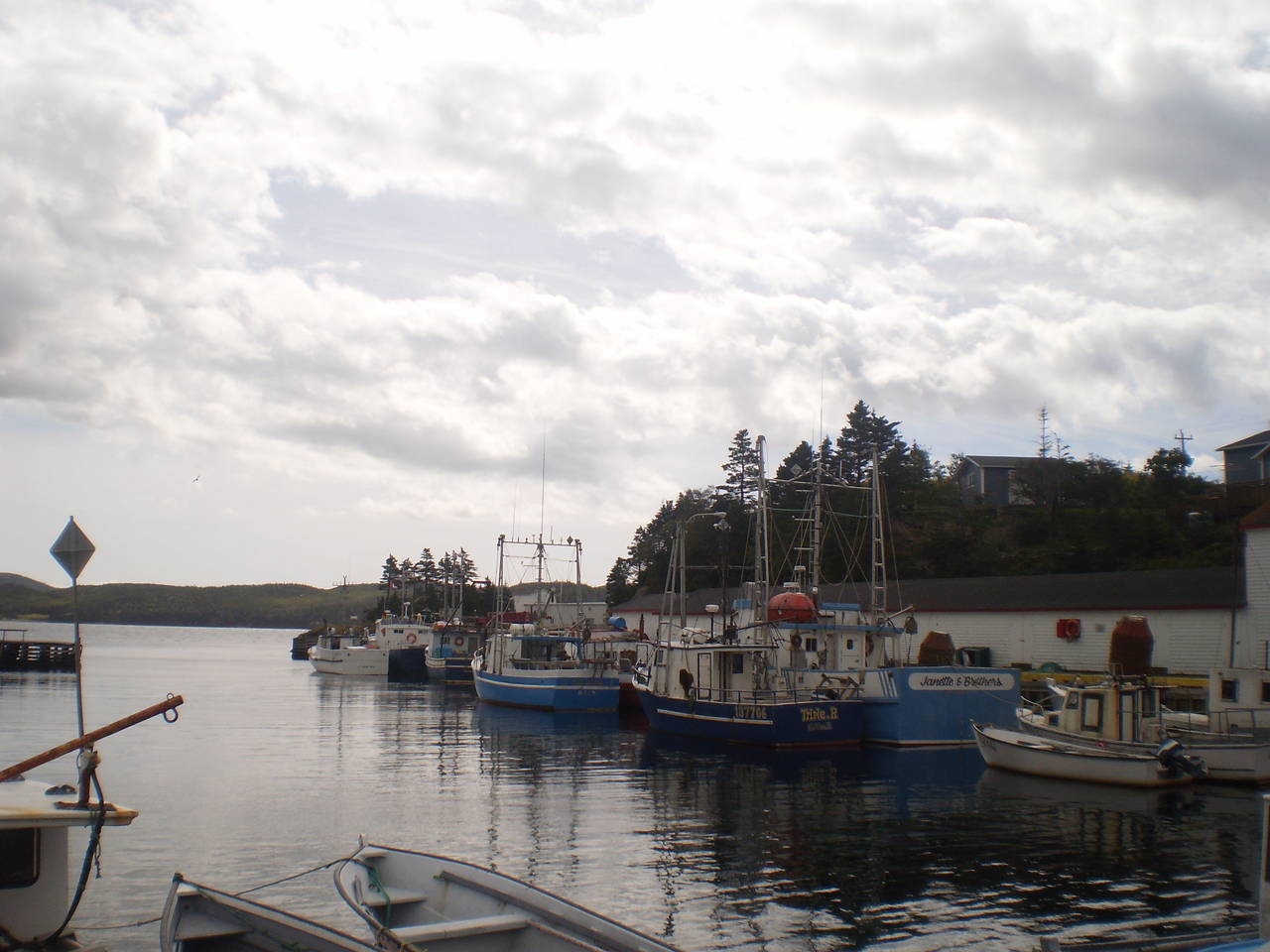 P9121199