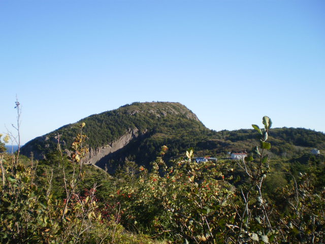 PA161007
