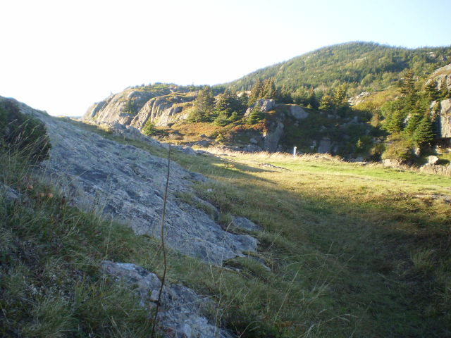 PA171061