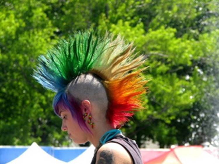 parrot