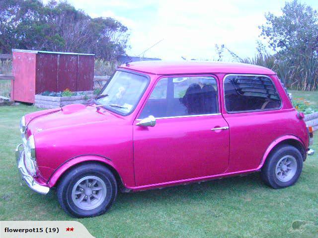 pink_mini