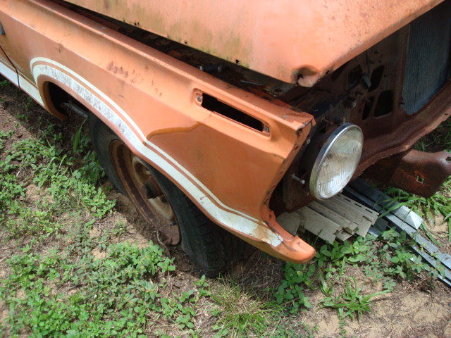 pumpkin_after_cleanup_002