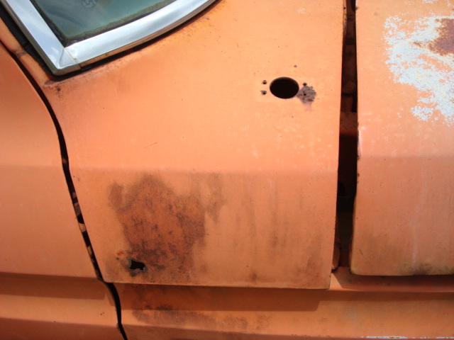 pumpkin_after_cleanup_003