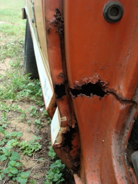 pumpkin_after_cleanup_005
