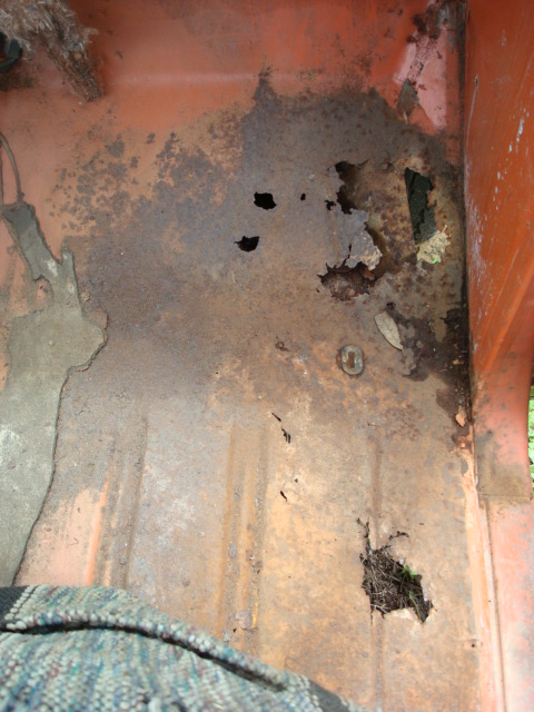 pumpkin_after_cleanup_006