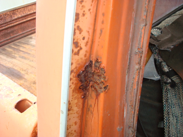 pumpkin_after_cleanup_007