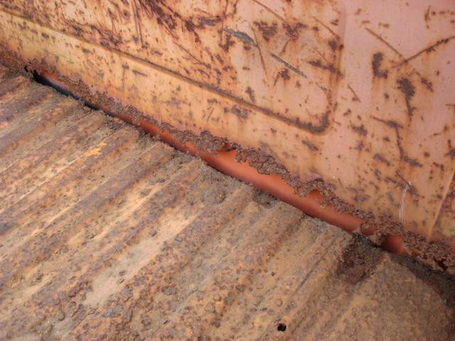 pumpkin_after_cleanup_010