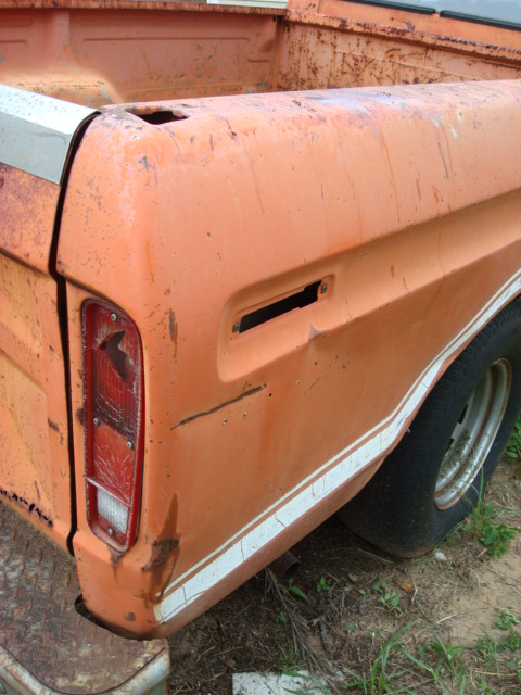 pumpkin_after_cleanup_011
