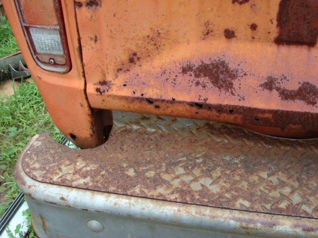 pumpkin_after_cleanup_012