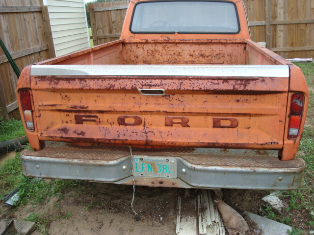 pumpkin_after_cleanup_013
