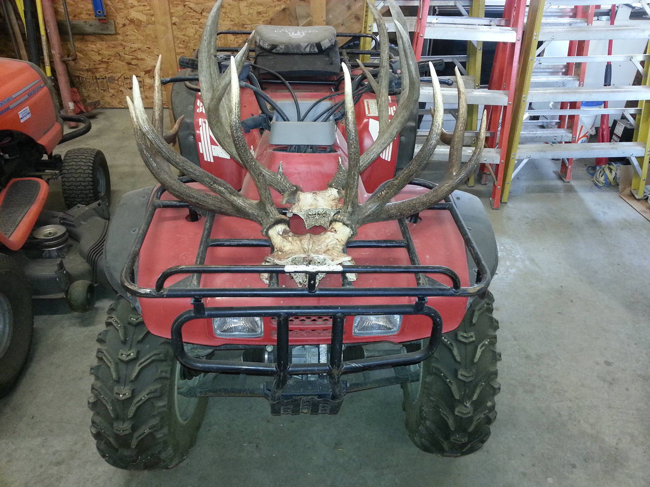 Quad