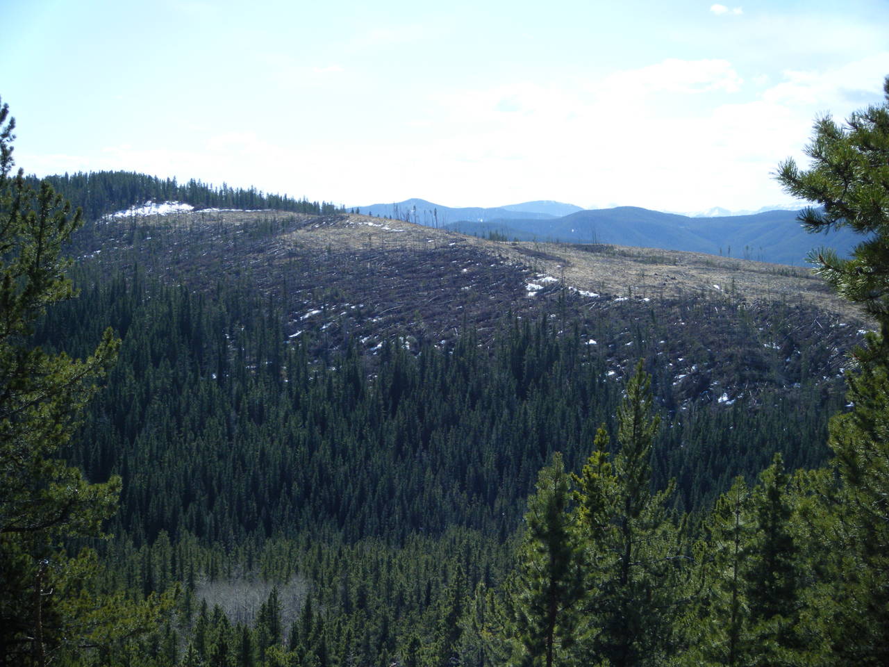 Quad_April_17_2010_022