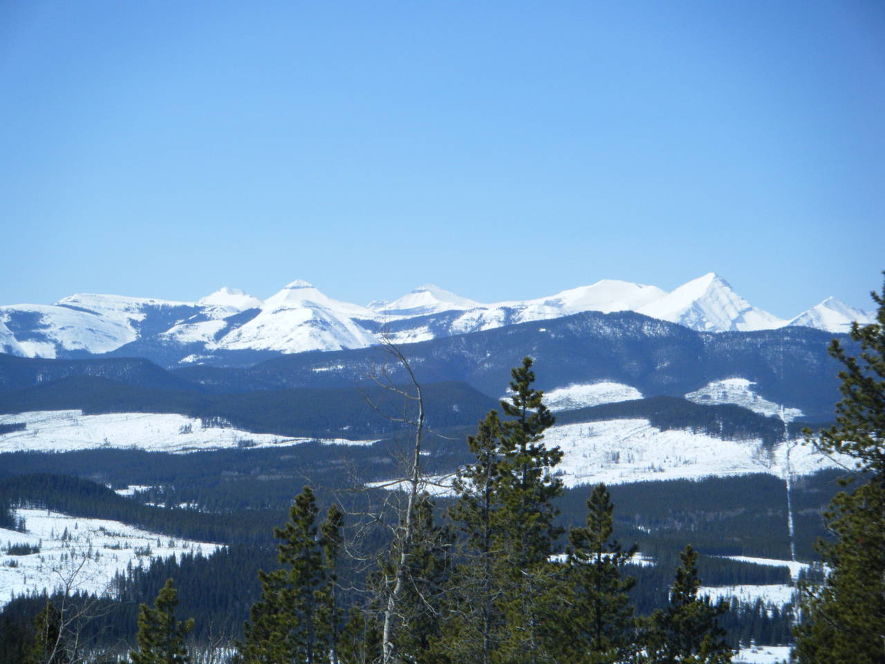 Quad_April_23_2011_017