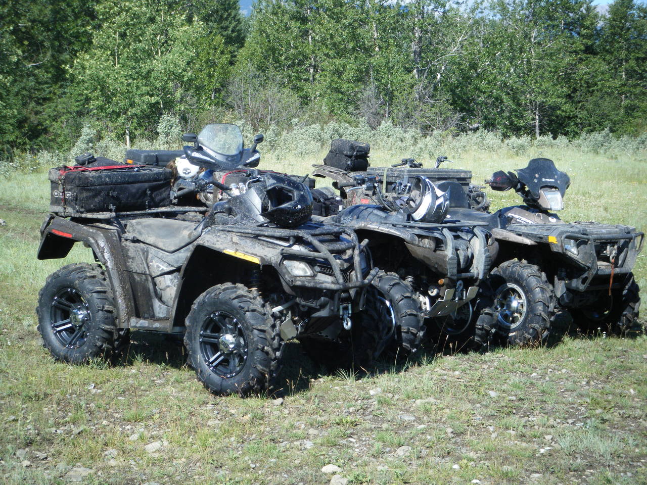quad_aug_1_2010_009