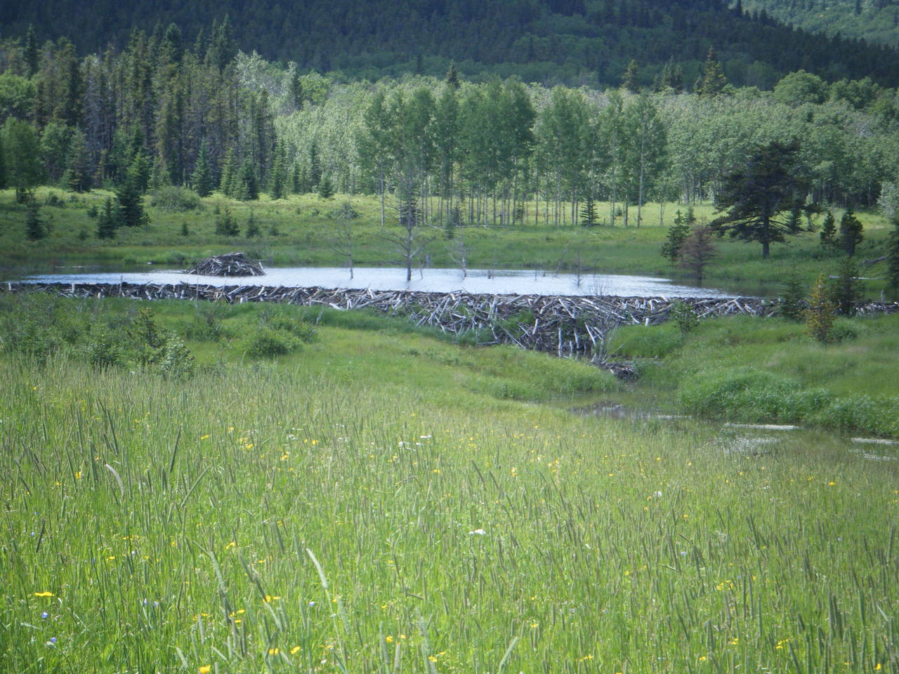 quad_aug_1_2010_032