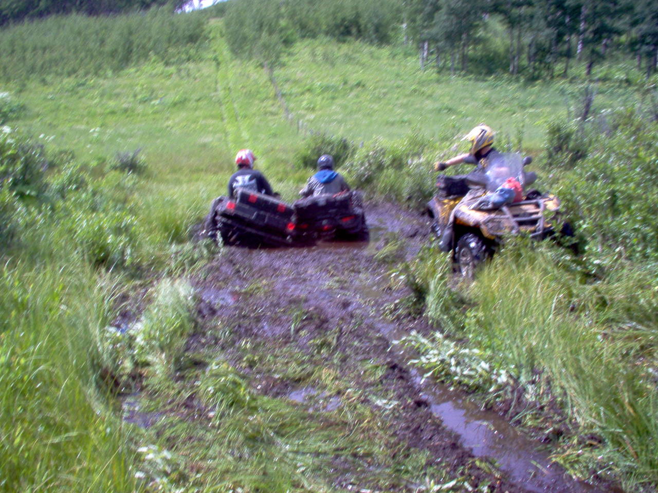 quad_aug_1_2010_MrsF_003