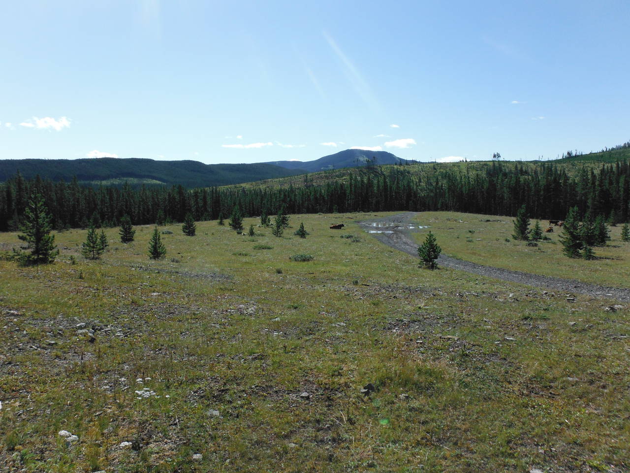 Quad_August_2012_007