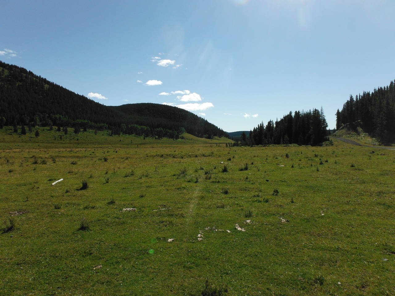 Quad_August_2012_011