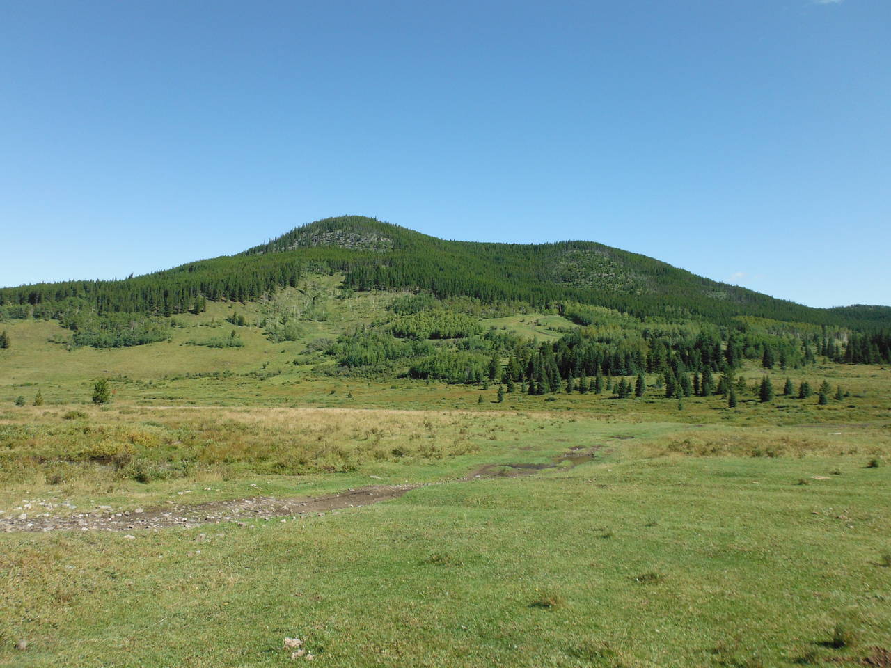 Quad_August_2012_012