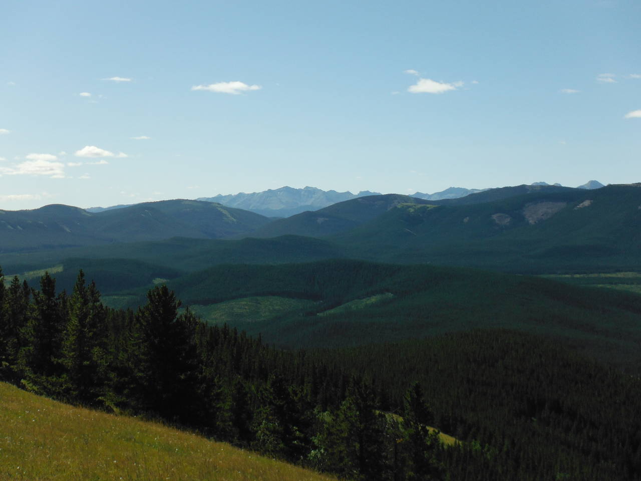 Quad_August_2012_020