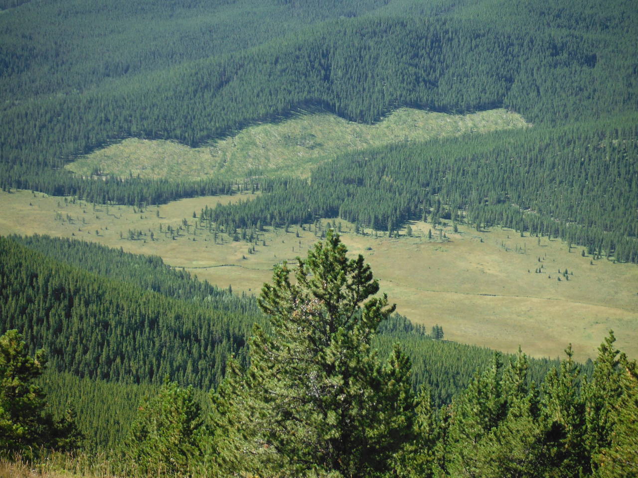 Quad_August_2012_030