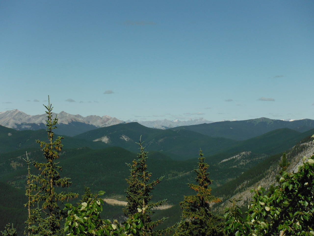 Quad_August_2012_039