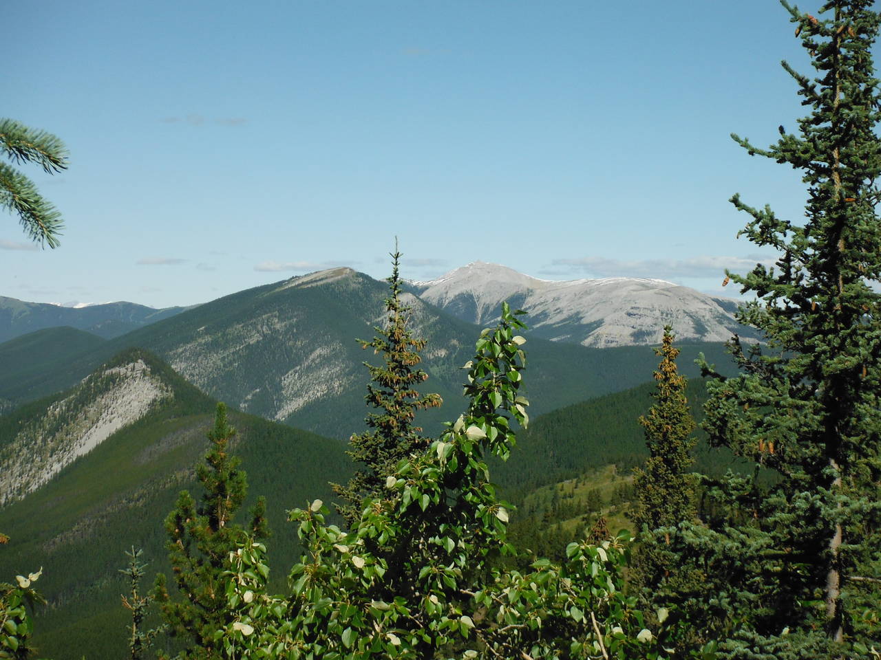 Quad_August_2012_041