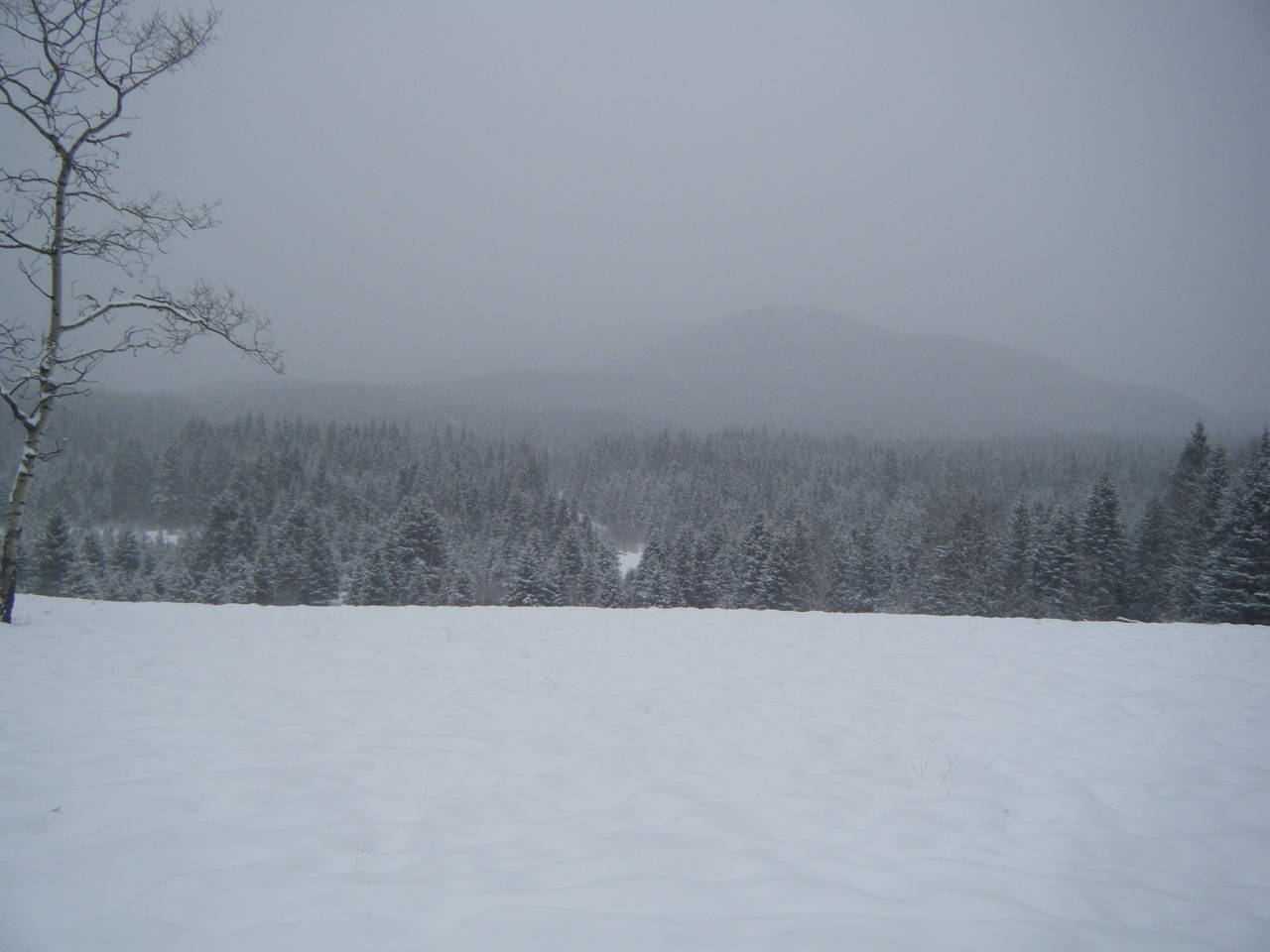 Quad_Dec_29_2010_011
