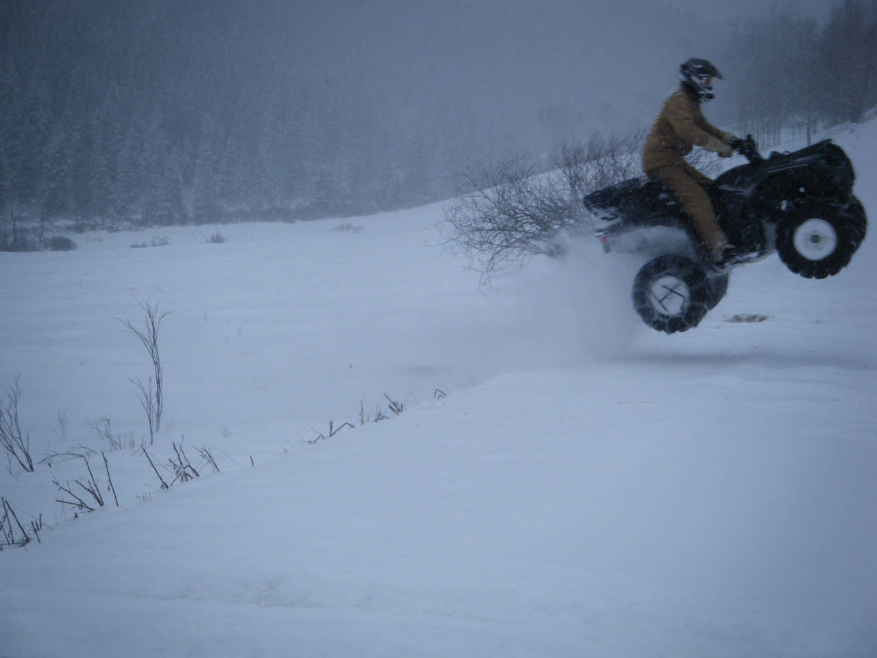 Quad_Dec_29_2010_025