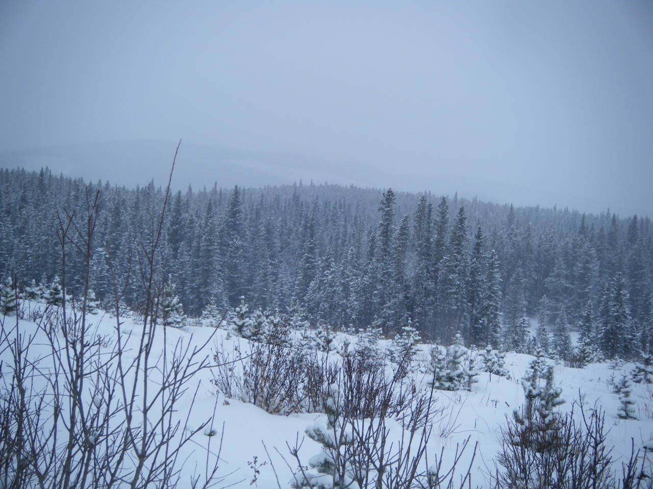 Quad_Dec_29_2010_031