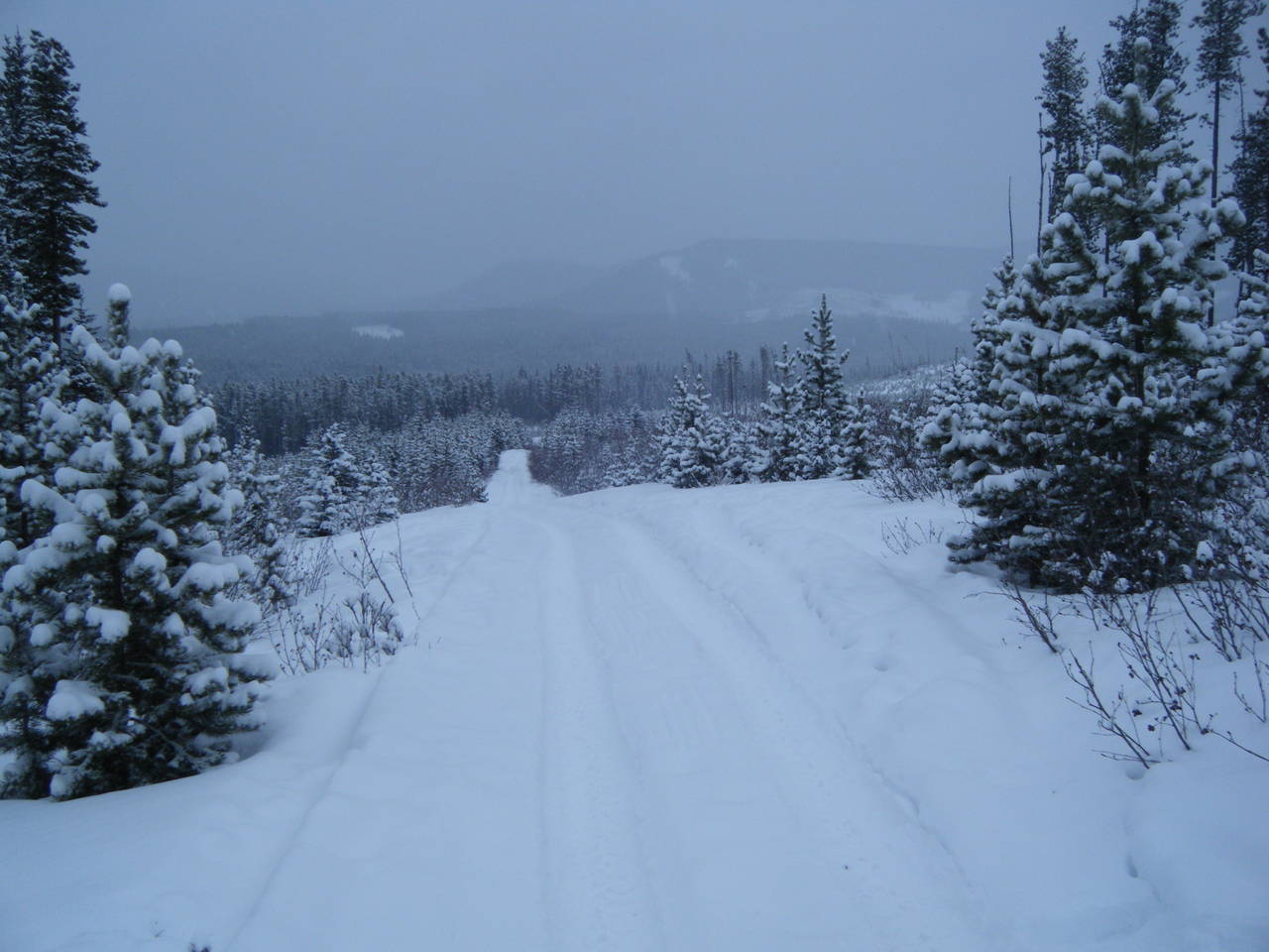 Quad_Dec_29_2010_033