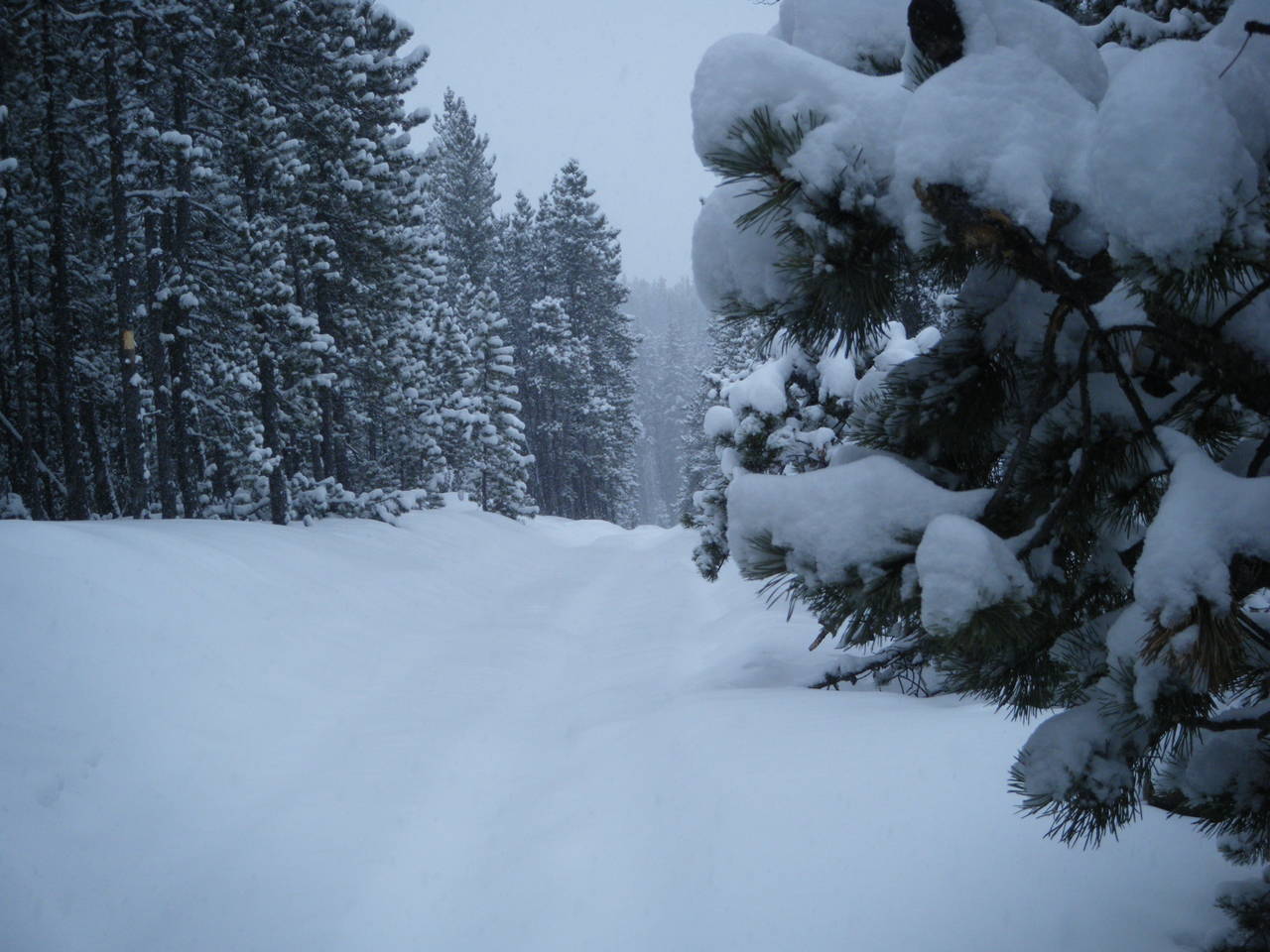 Quad_Dec_29_2010_047