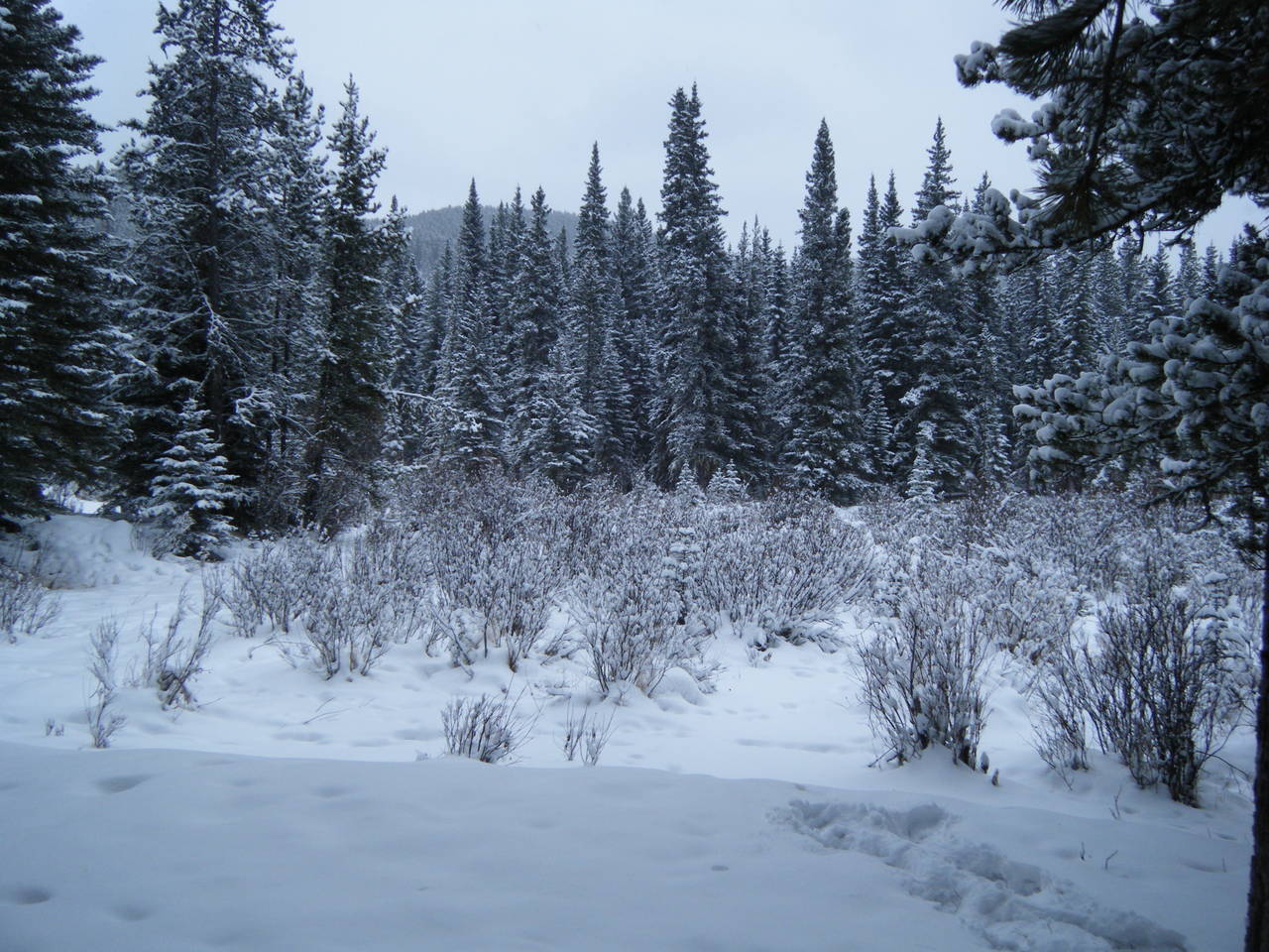 Quad_Dec_29_2010_057